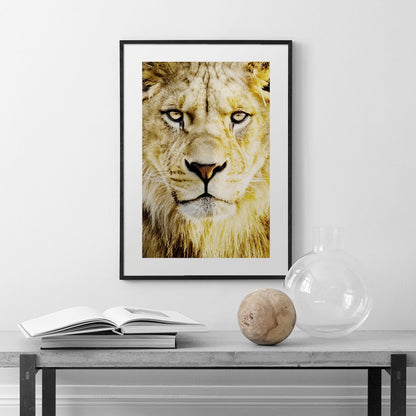 Framed Lion of Judah Wall Art