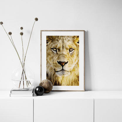 Framed Lion of Judah Wall Art